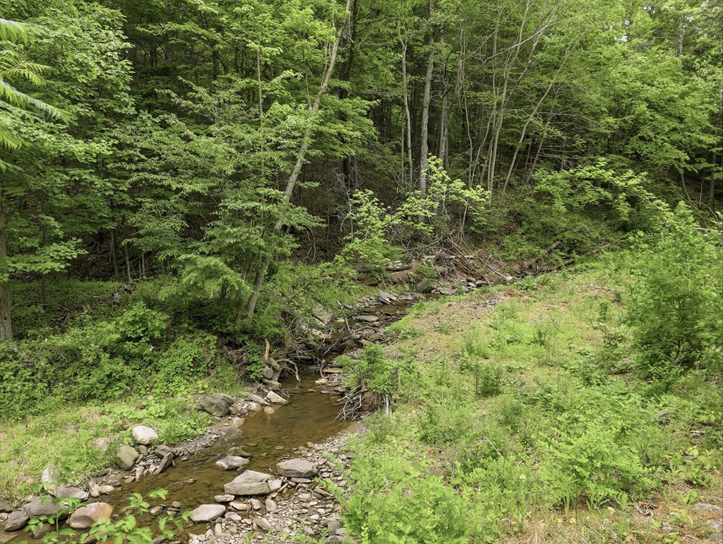 239 Kent Run Rd