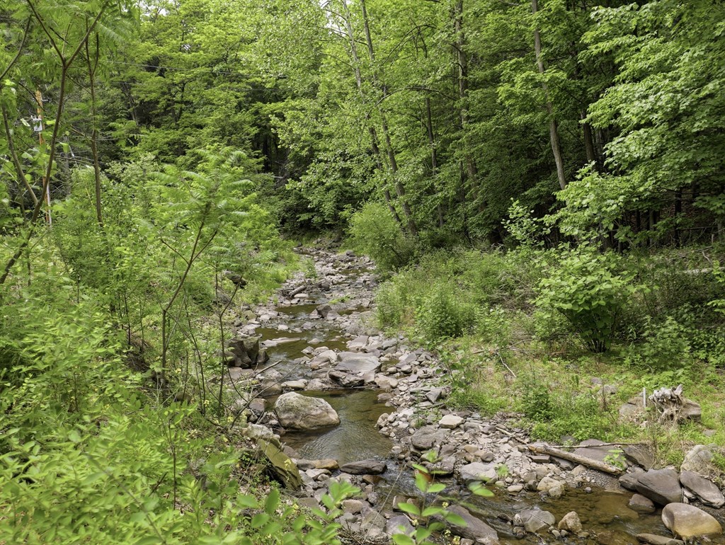 239 Kent Run Rd