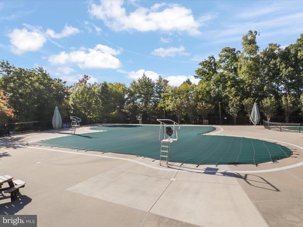 Outdoor pool covered with a dark green safety cover, surrounded by a concrete deck and trees.