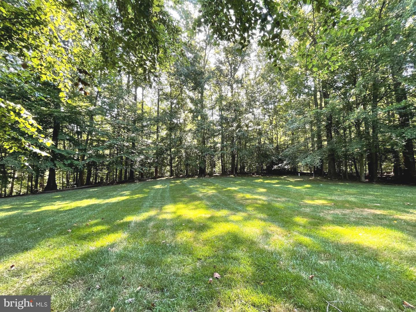 8197 Cottage Rose Ct