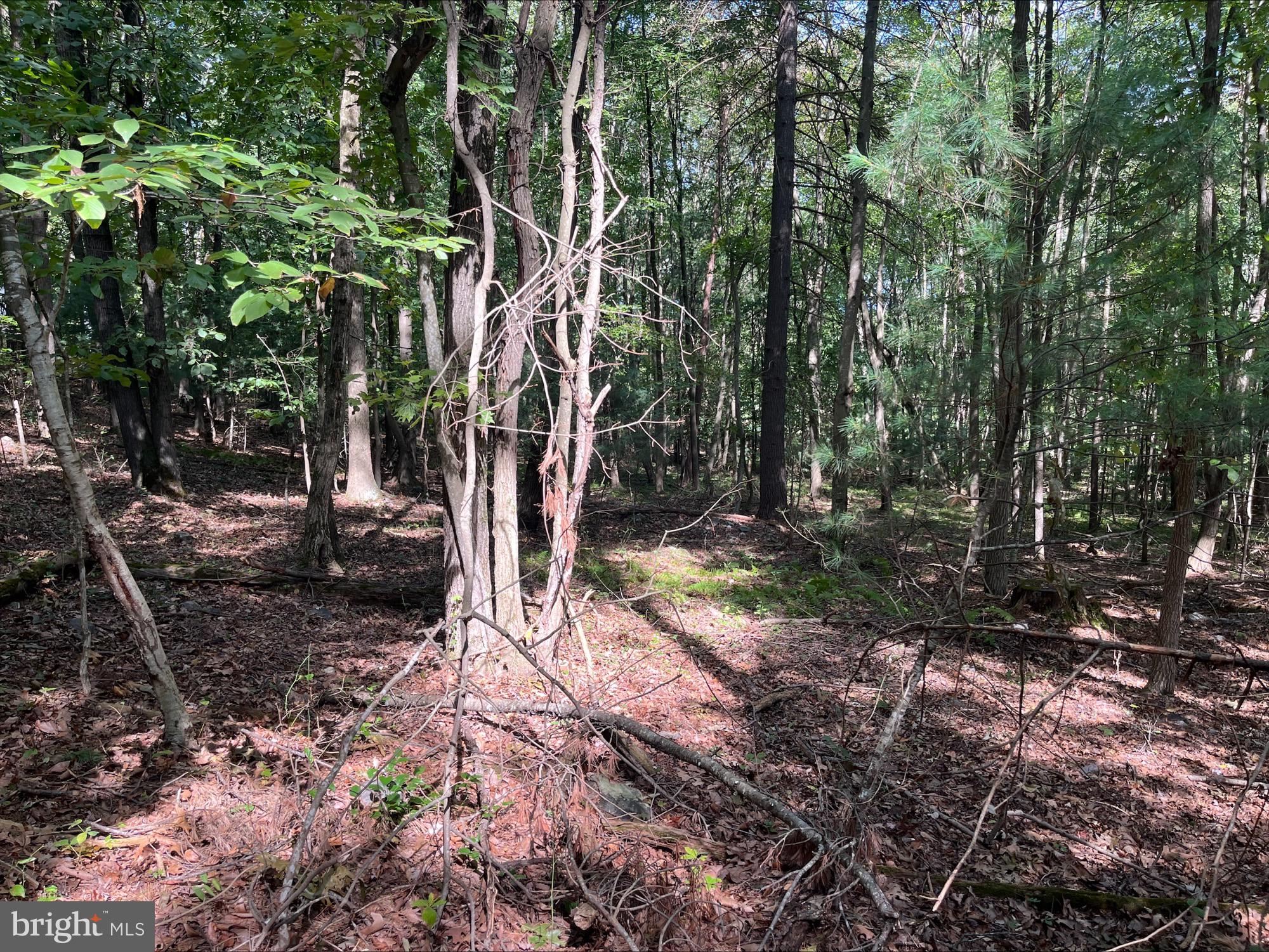 0 Dry Creek Rd