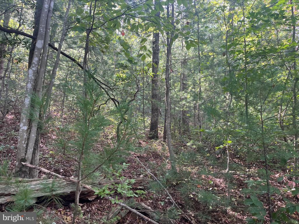 0 Dry Creek Rd