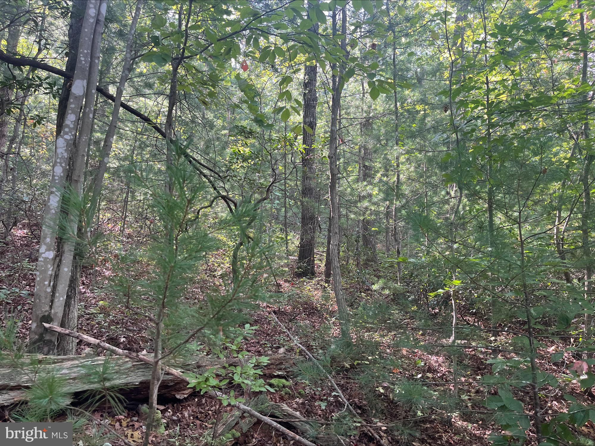 0 Dry Creek Rd