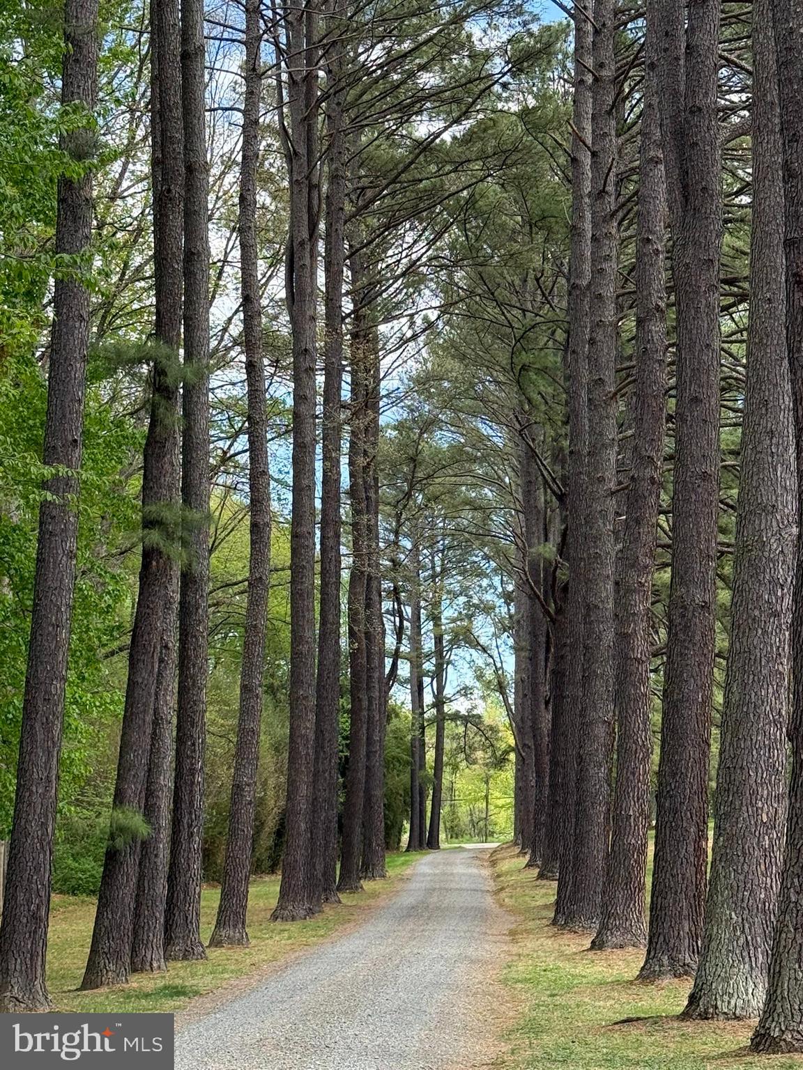 10804 LAKE JACKSON DRIVE