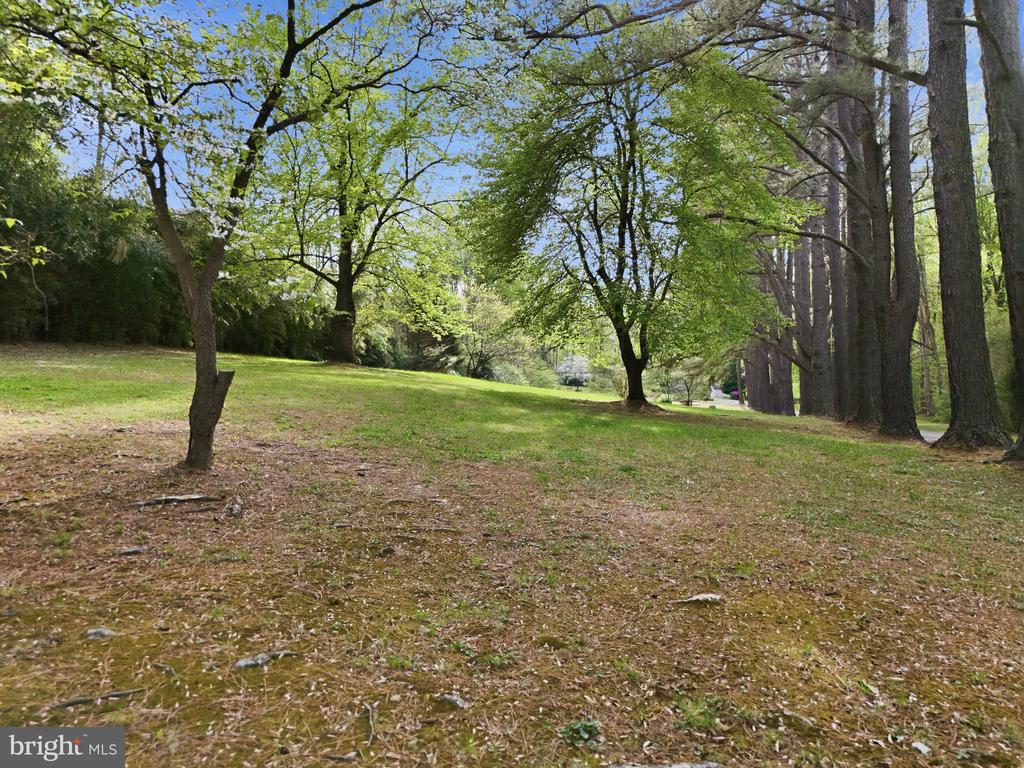 10804 LAKE JACKSON DRIVE