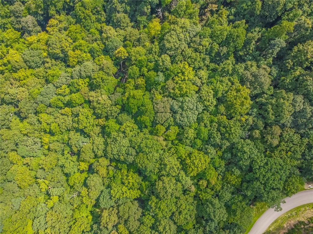 0 Stone Cliff Drive