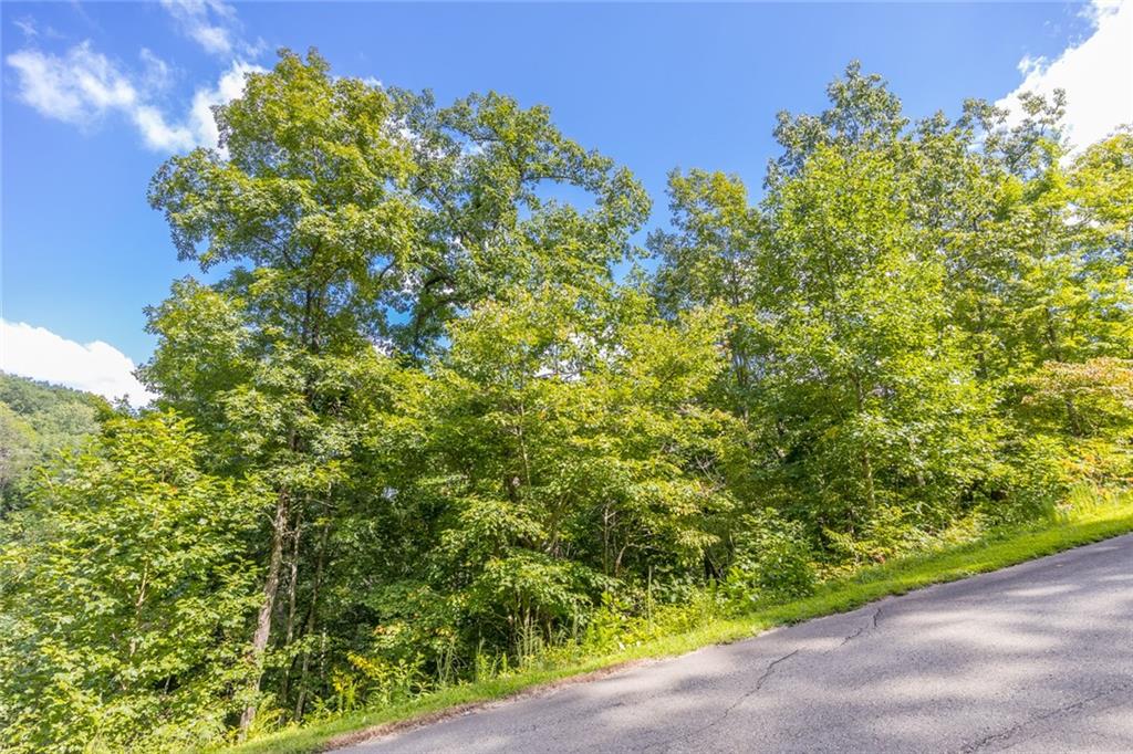 0 Stone Cliff Drive