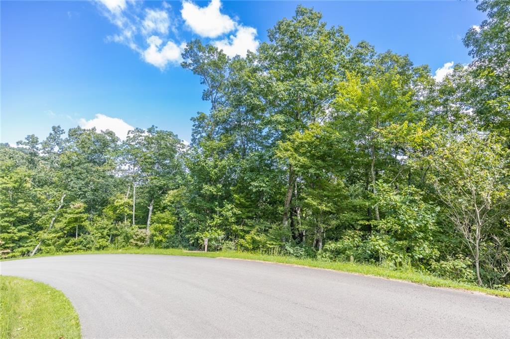 0 Stone Cliff Drive