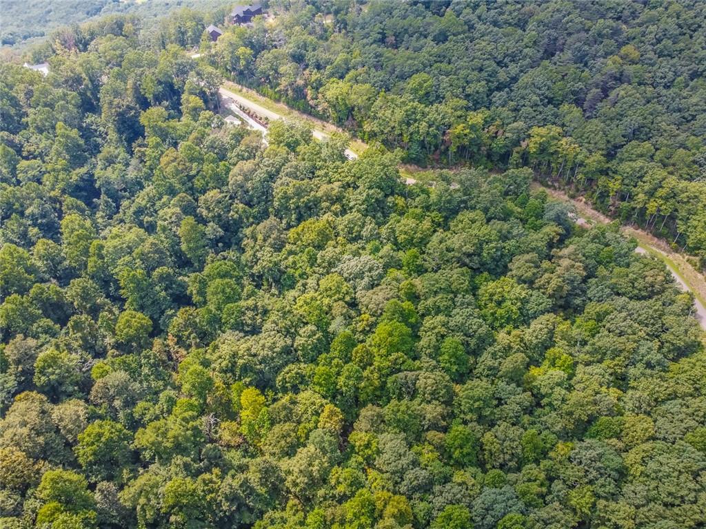 0 Stone Cliff Drive