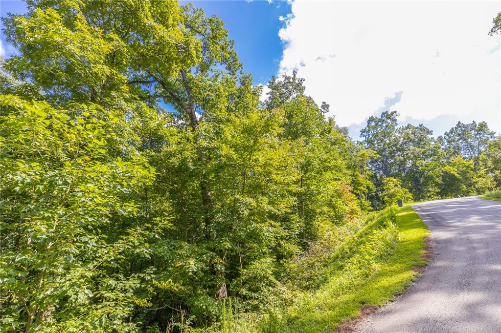 0 Stone Cliff Drive