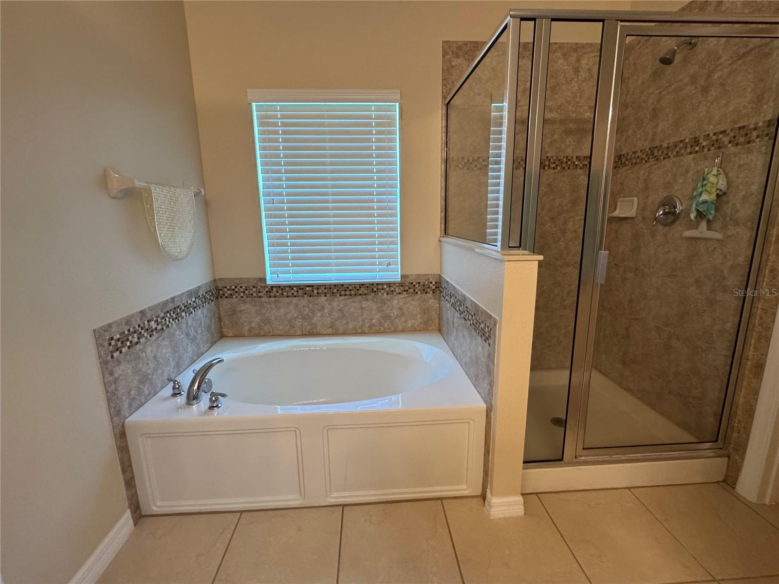 3711 BRIARWOOD ESTATES CIR