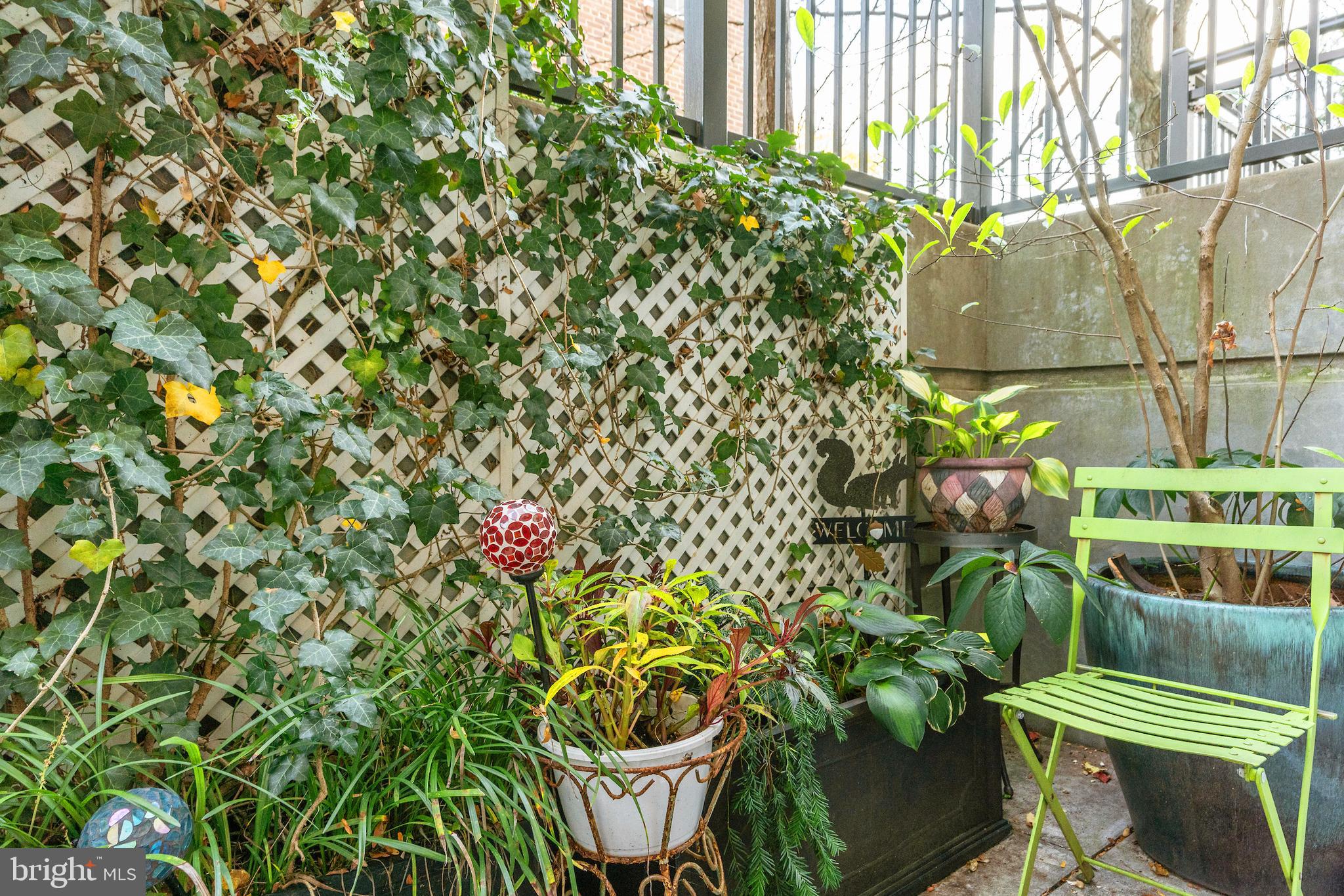 2501 Wisconsin Ave NW #10