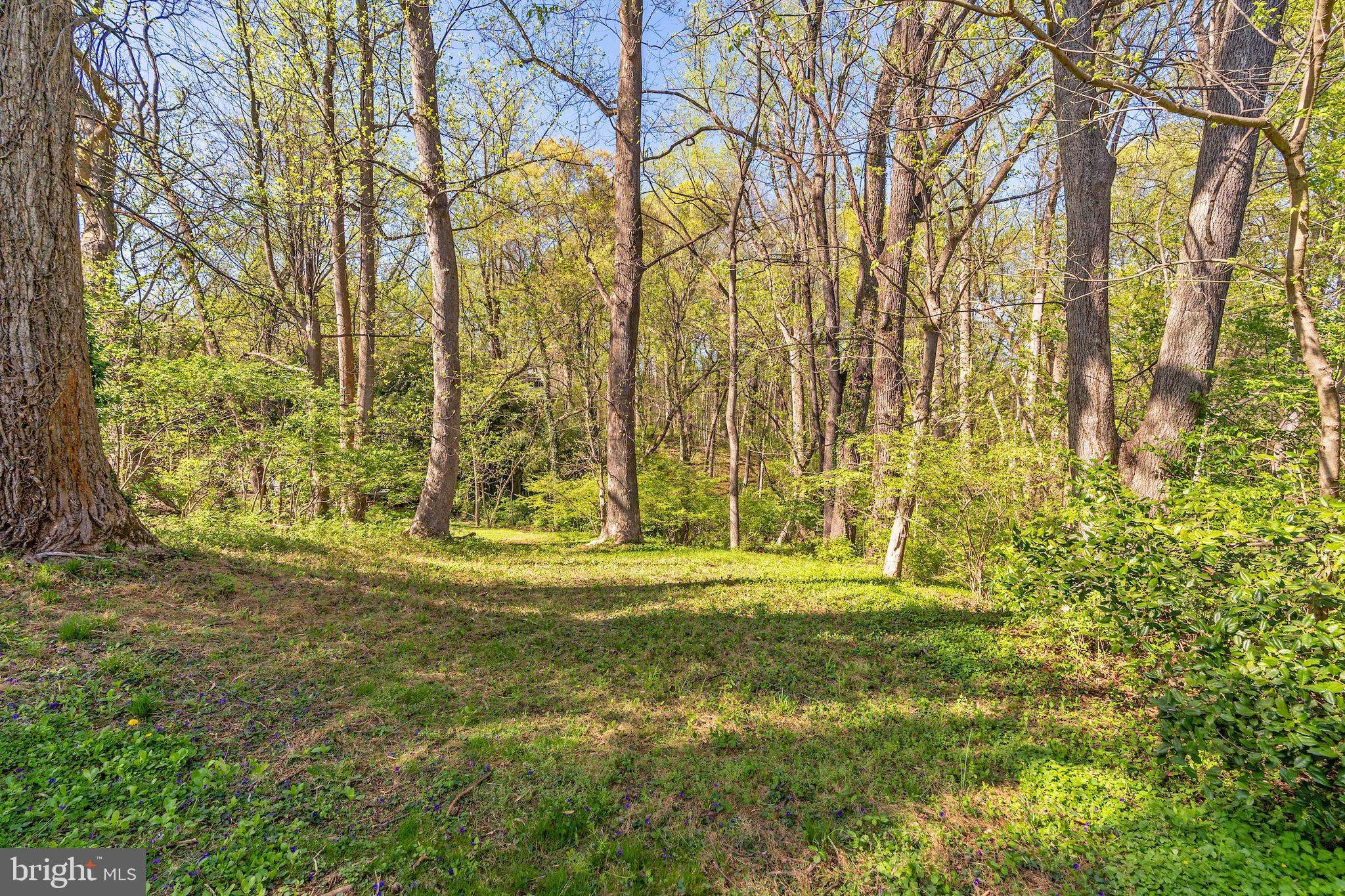 7509 ARDEN ROAD