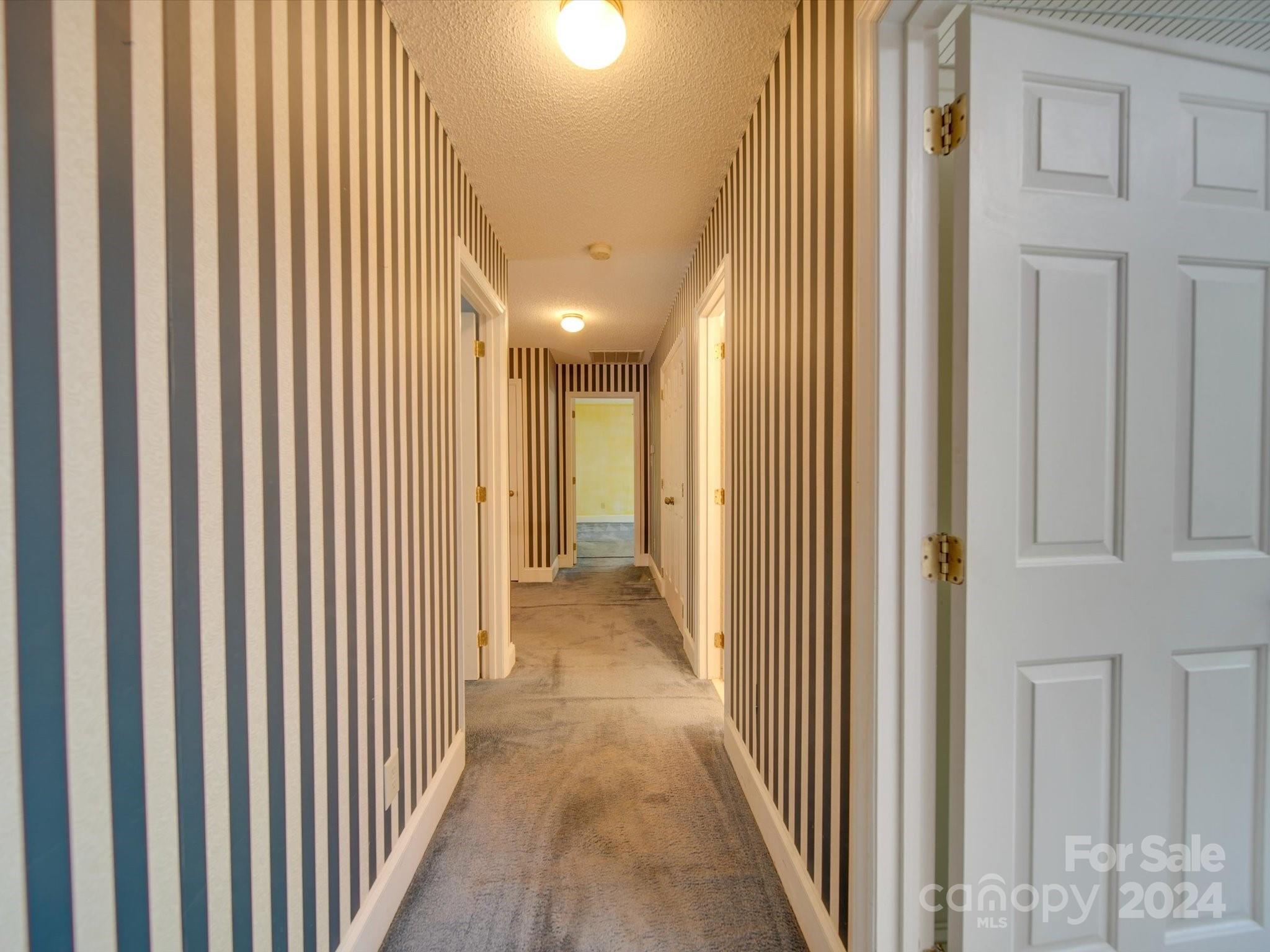 10439 Hanging Moss Trail