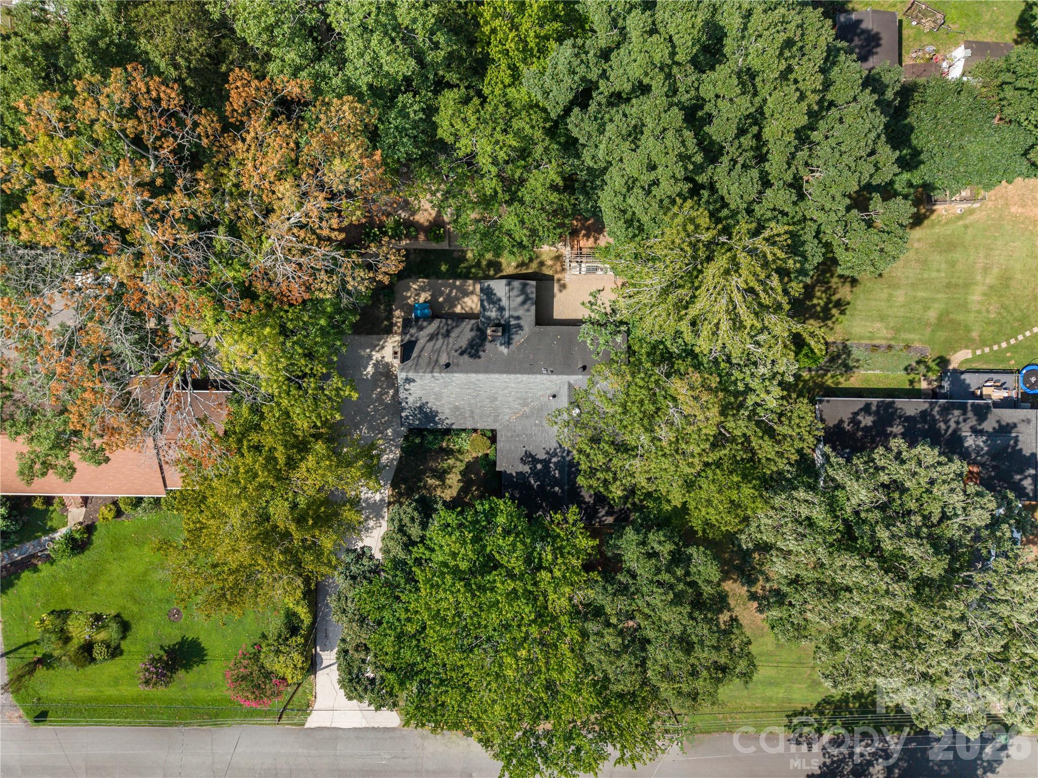 213 Dogwood Drive