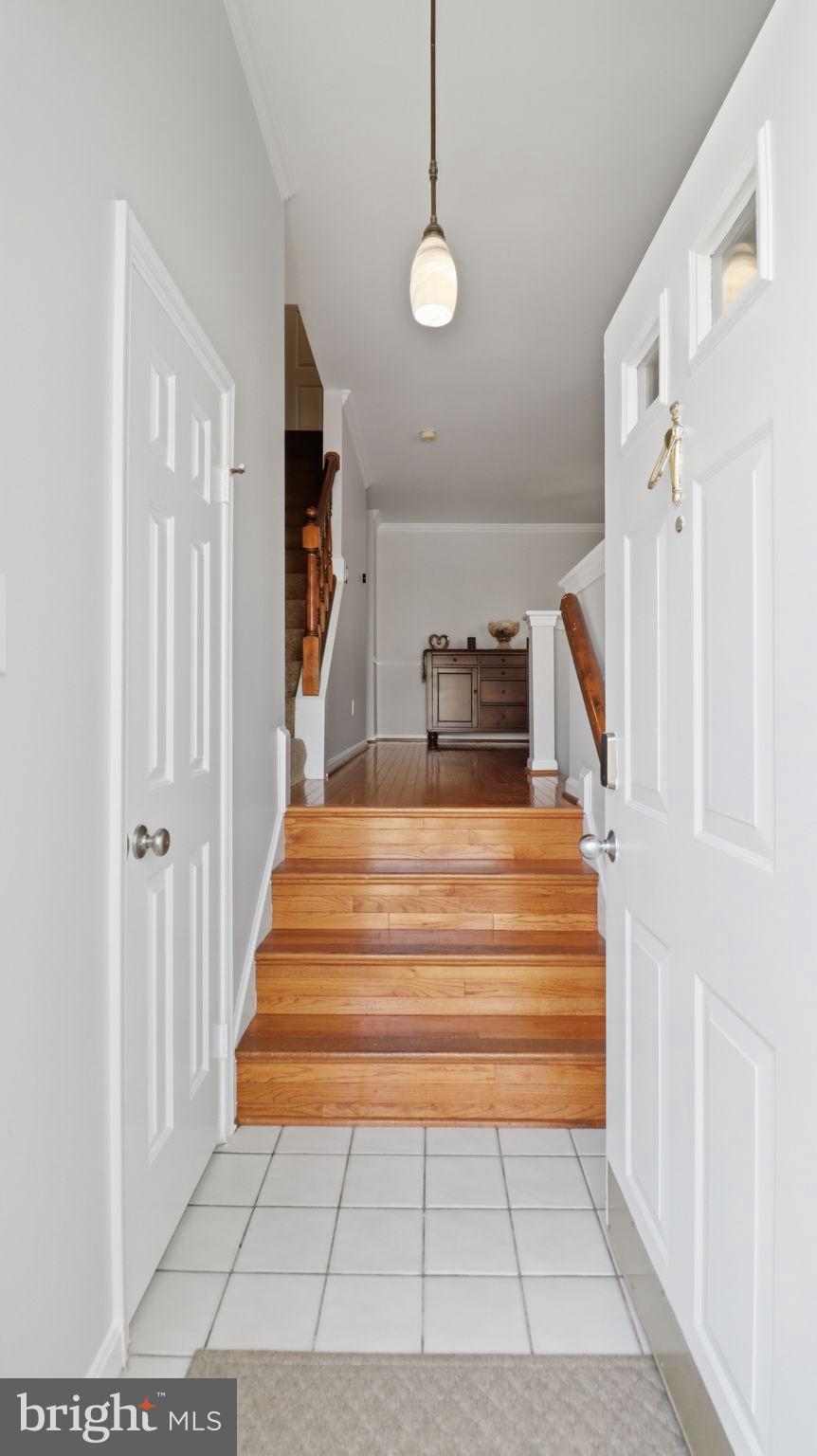 46699 PARAGON TERRACE