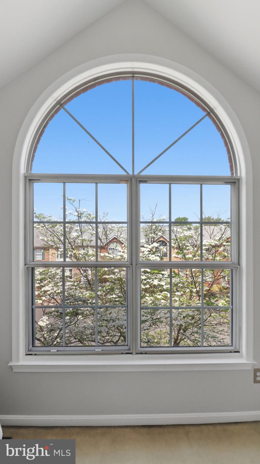46699 PARAGON TERRACE