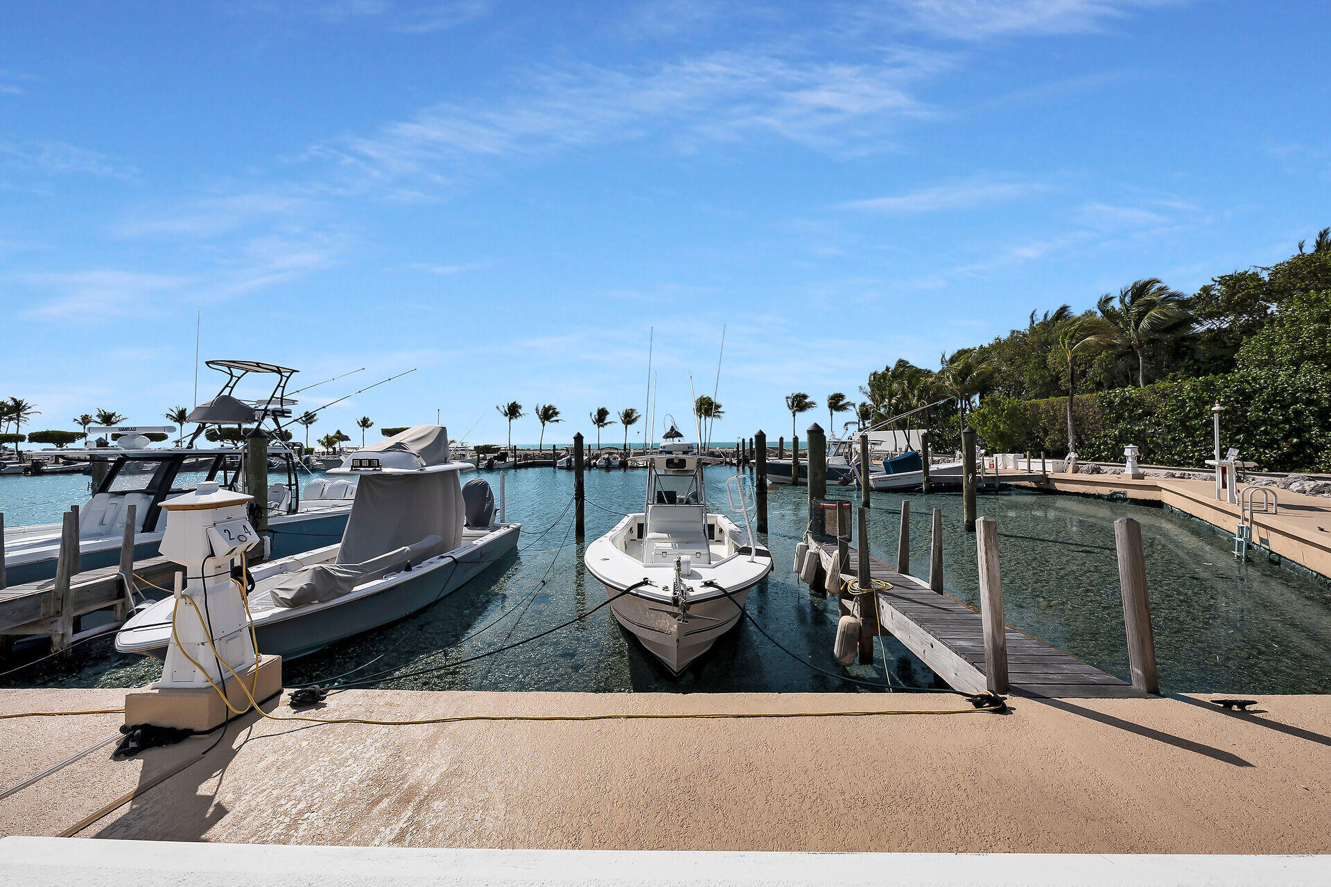 Marina with boats moored along docks and palm trees lining the waterfront.