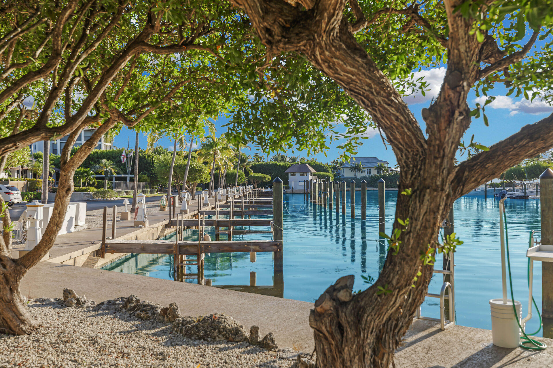 Waterfront marina docks and boat slips framed by large leafy trees.