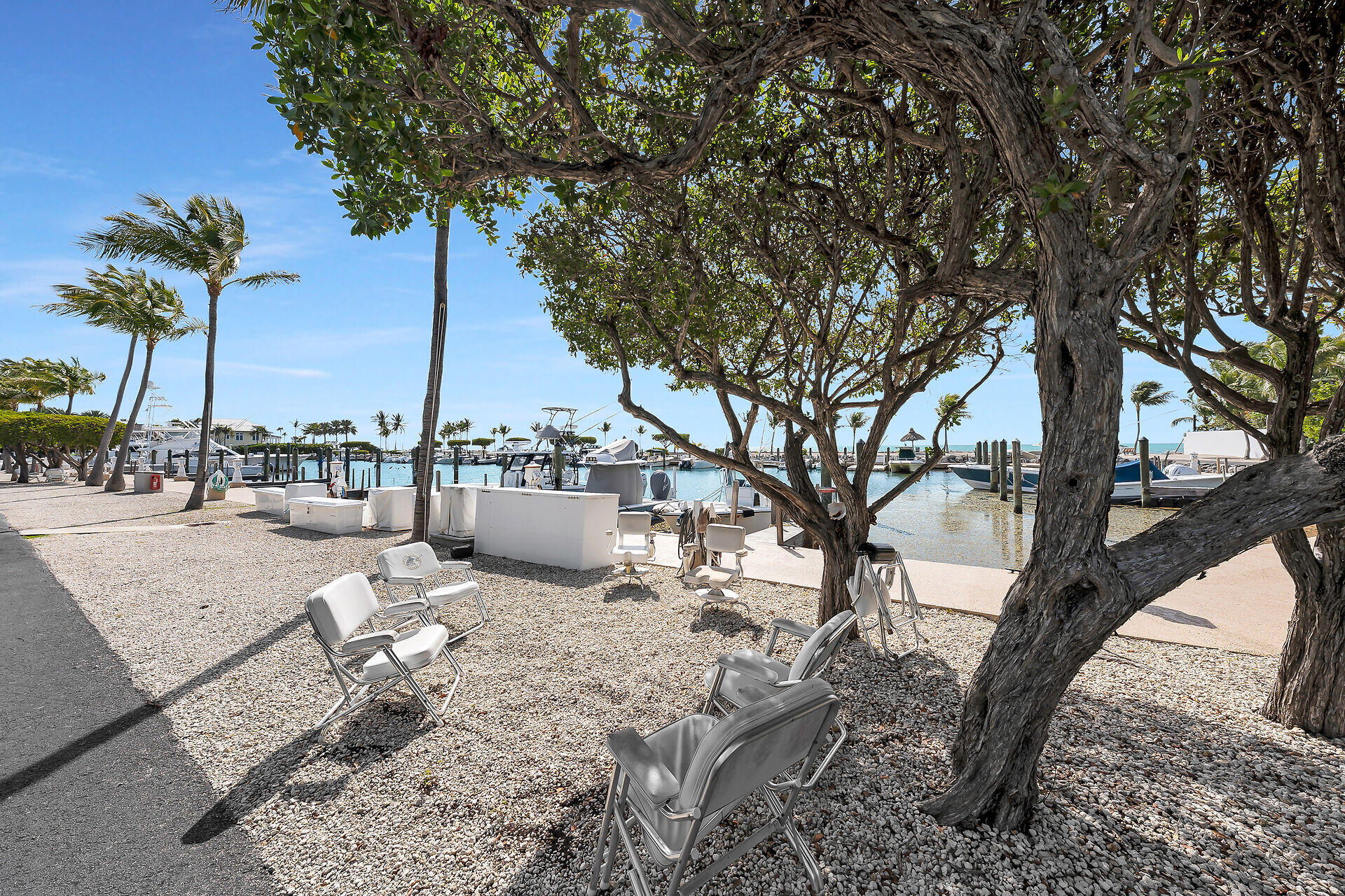 Waterfront marina with boats, shaded gravel seating area, and large trees.