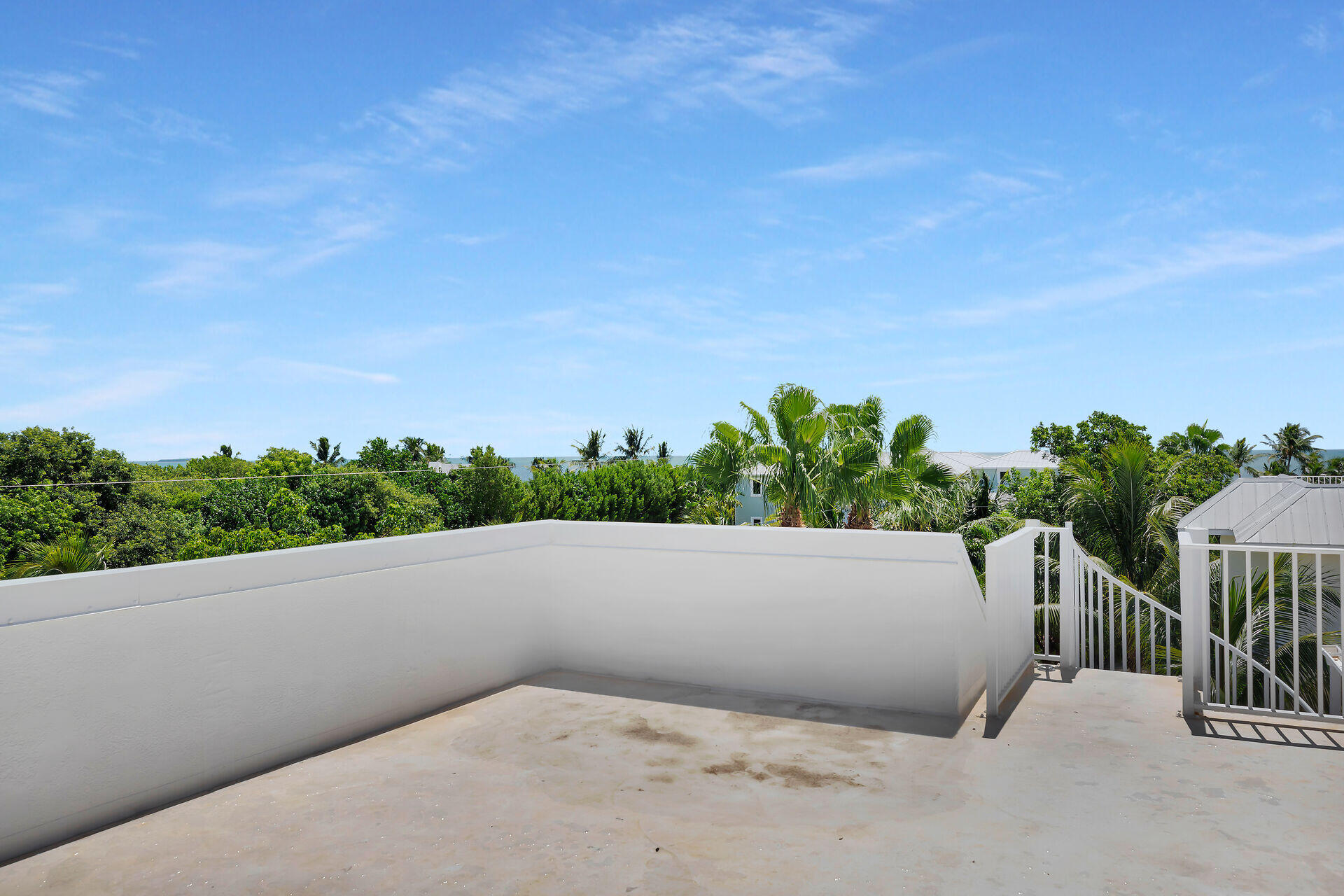 Rooftop terrace overlooking palm trees and a distant strip of water.