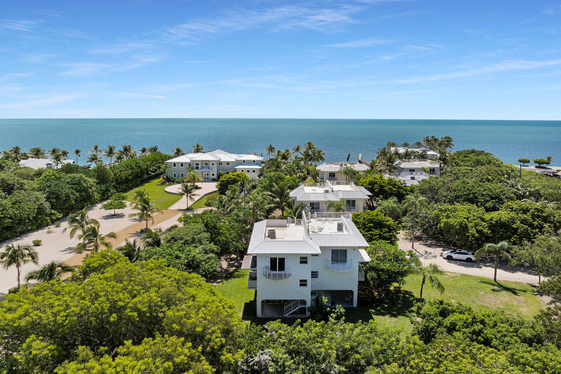 Aerial view of coastal homes and palms beside the ocean.