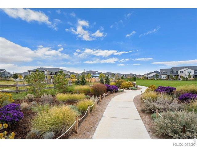 2969 Cub Lake Drive