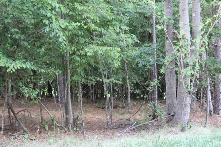 218 Table Rock Trace NW Unit: 166