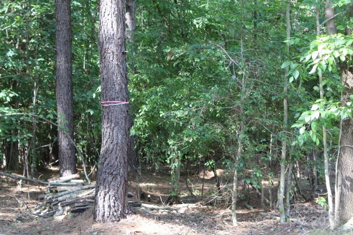 218 Table Rock Trace NW Unit: 166