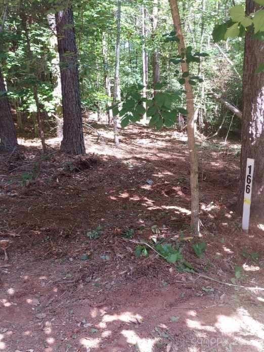 218 Table Rock Trace NW Unit: 166