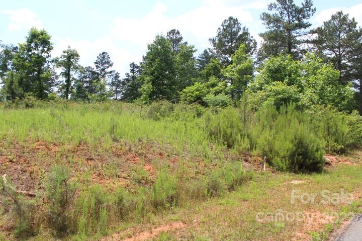 5544 Paddock Way Unit: 7