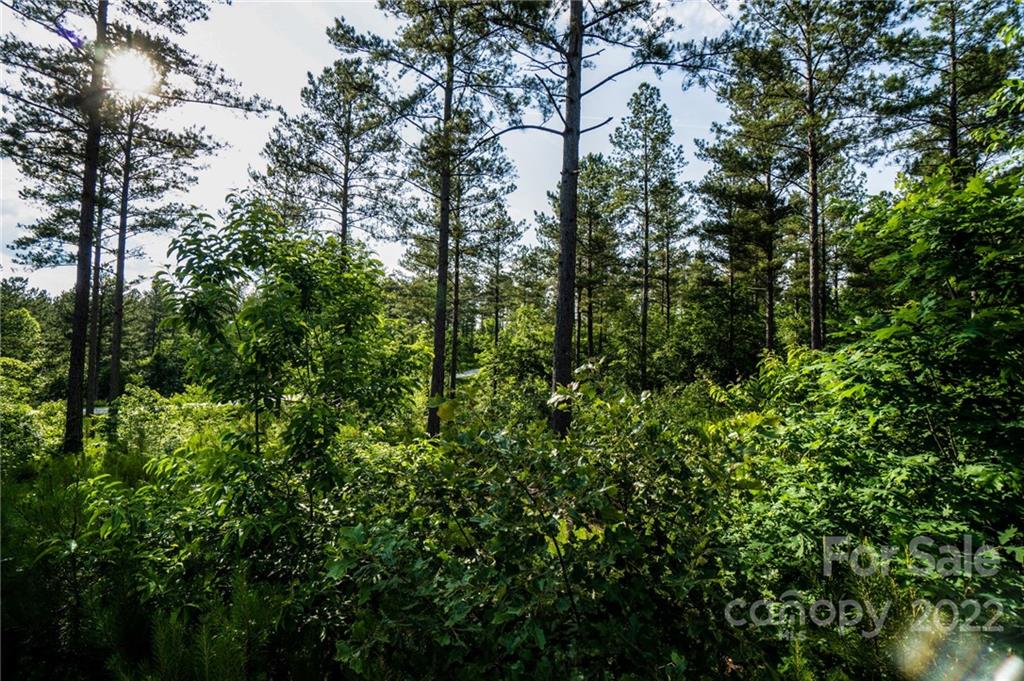 0000 Windward Lane Unit: 12