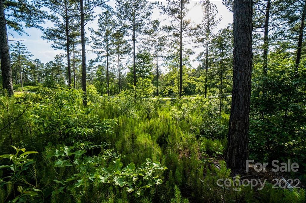 0000 Windward Lane Unit: 12