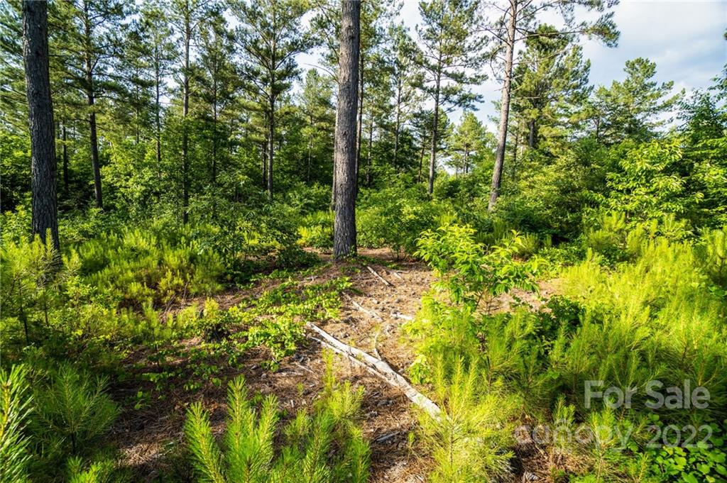 0000 Windward Lane Unit: 12