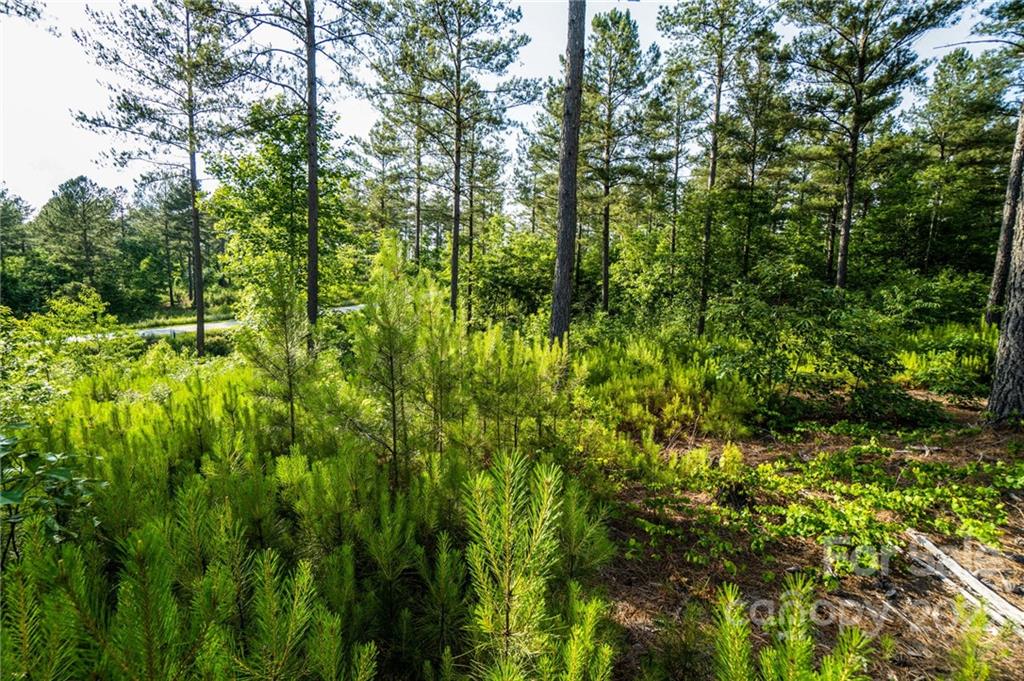 0000 Windward Lane Unit: 12