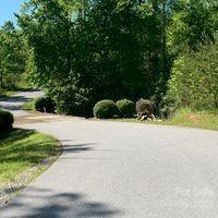 2335 Quiet Creek Lane Unit: 18