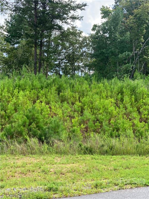 #108 Coveside Drive Unit: 108