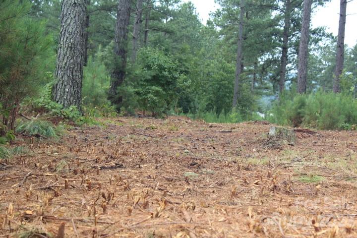 0000 Scenic Lane Unit: 11