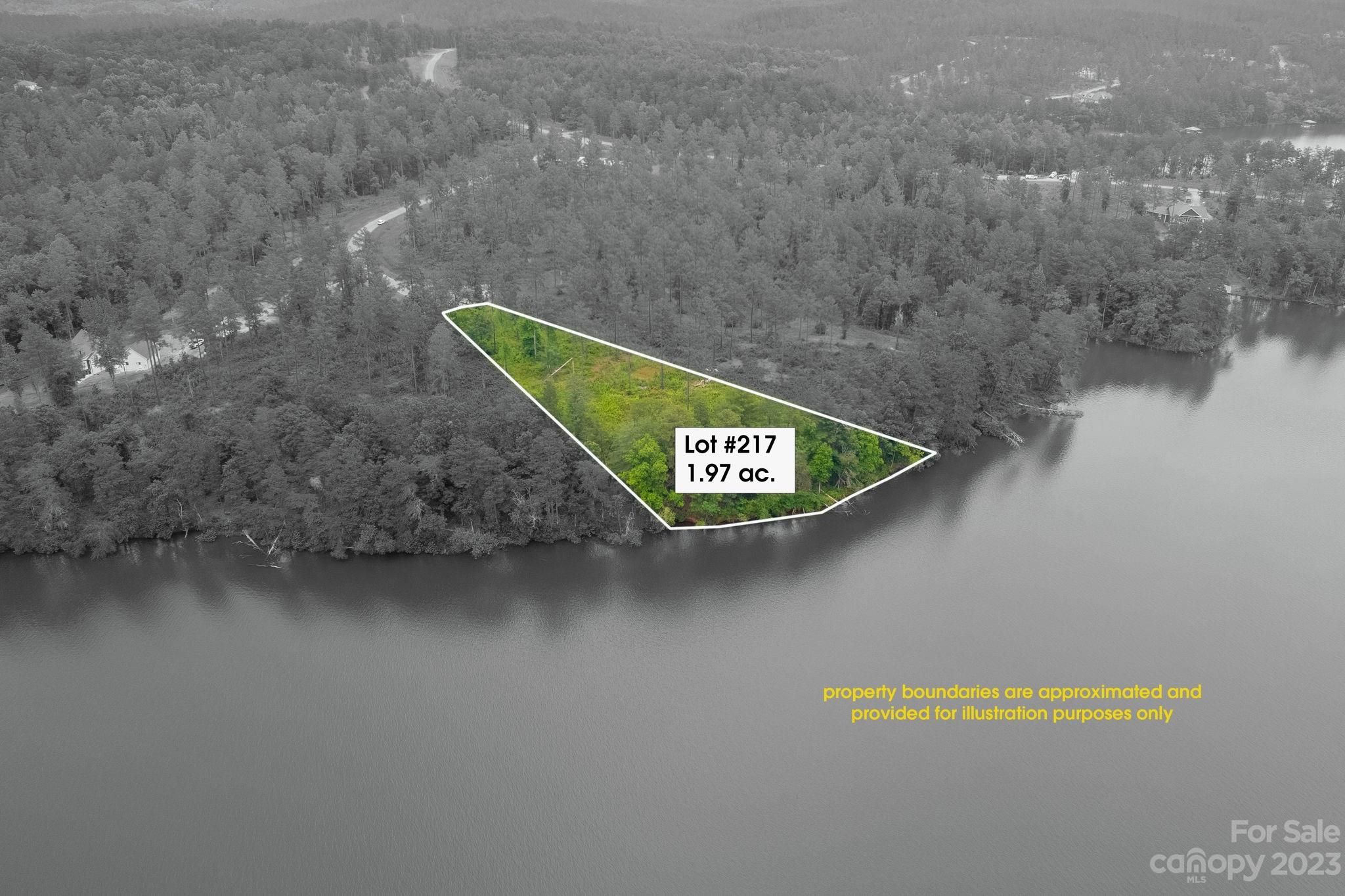 0000 Big View Lane Unit: 217