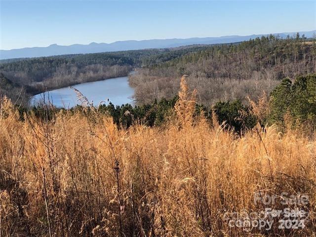 274 Table Rock Trace Unit: 172