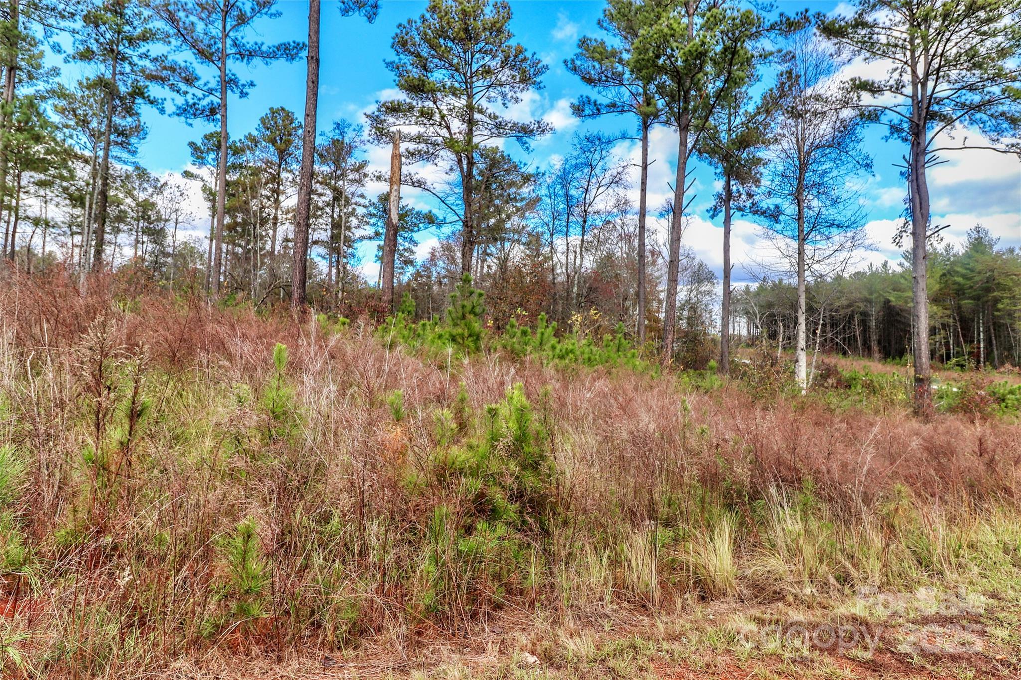 1004 Big View Lane Unit: 209