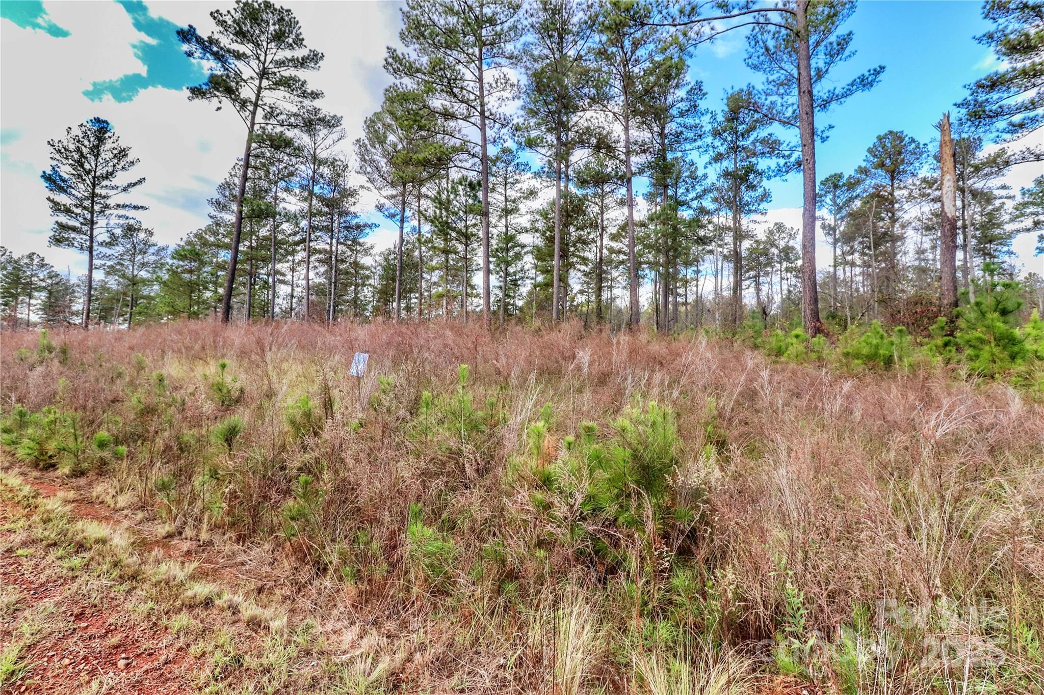 1004 Big View Lane Unit: 209