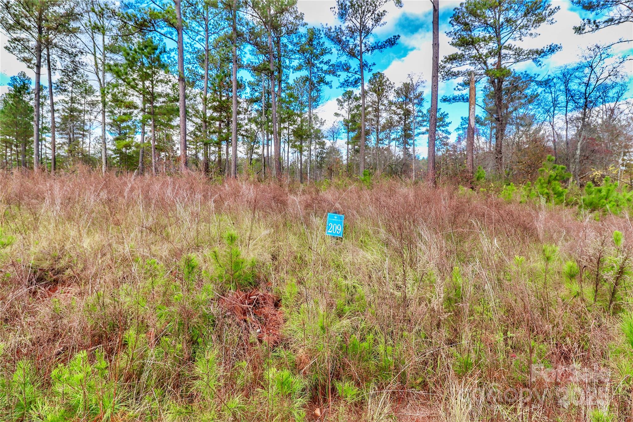 1004 Big View Lane Unit: 209
