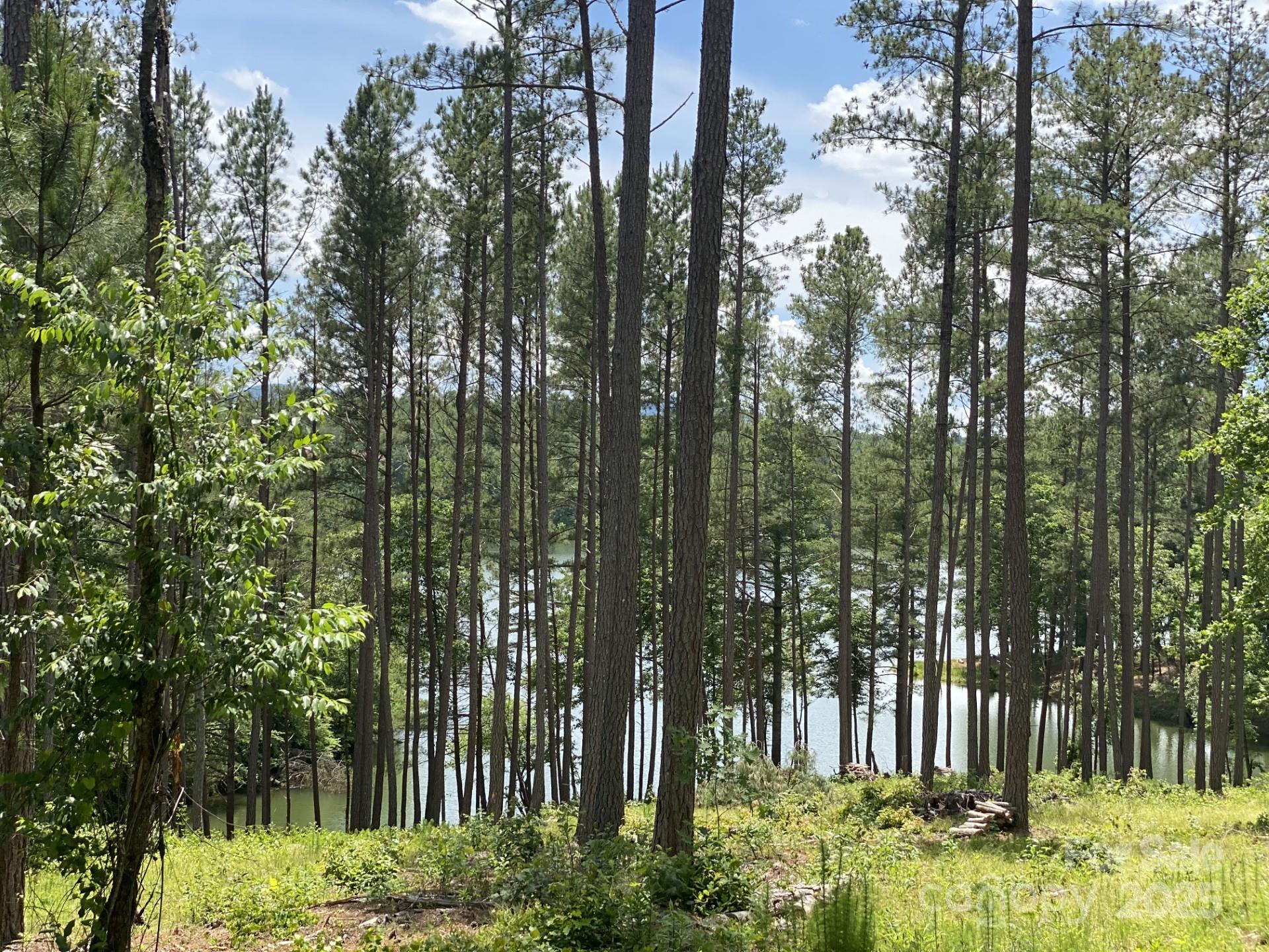 000 Scenic Lane Unit: 207