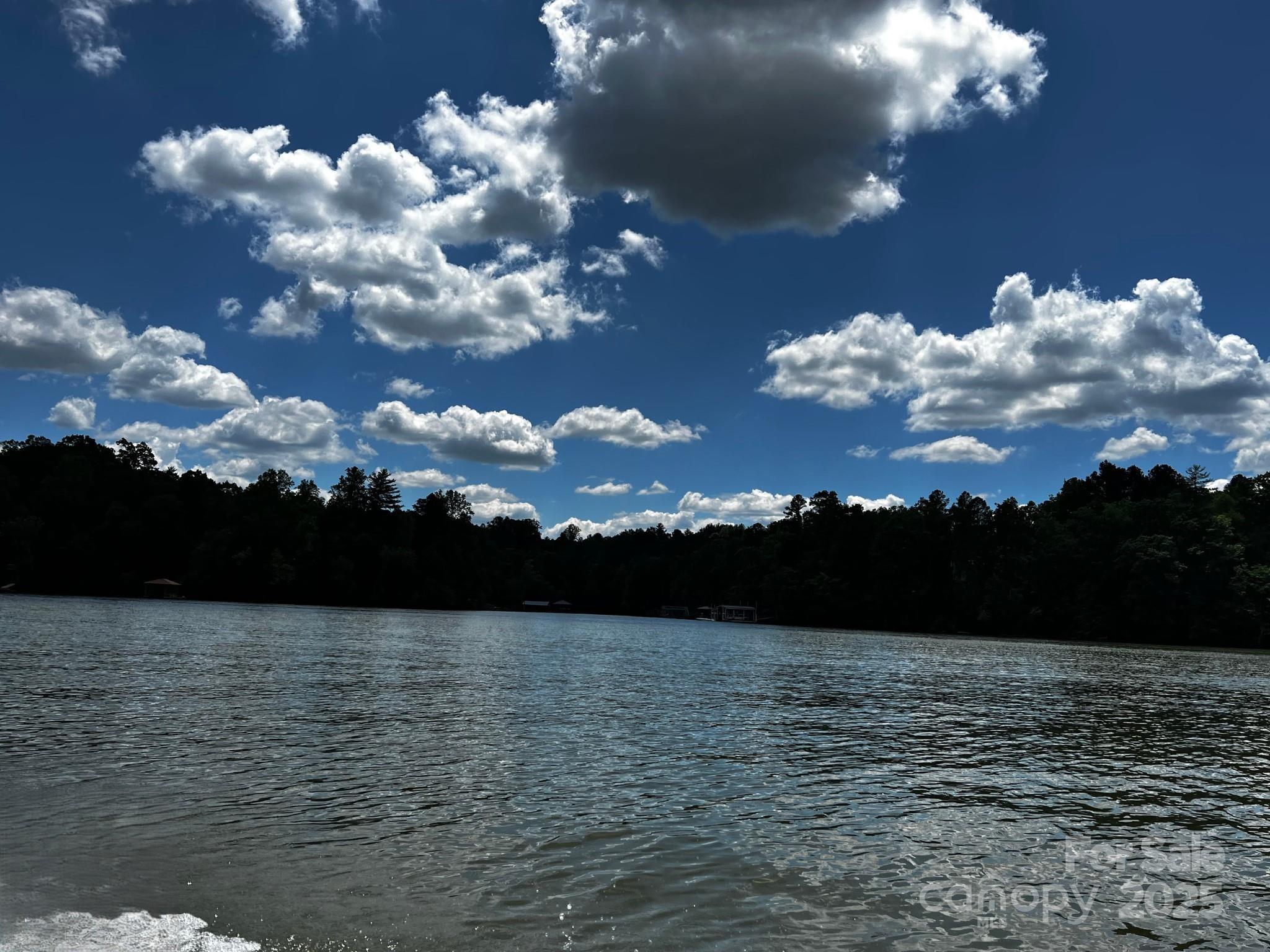 000 Scenic Lane Unit: 207