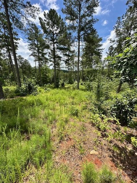 2120 Princeton Mountain Unit: 59