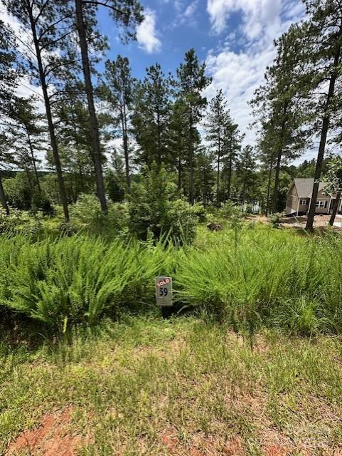 2120 Princeton Mountain Unit: 59