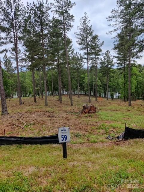 2120 Princeton Mountain Unit: 59