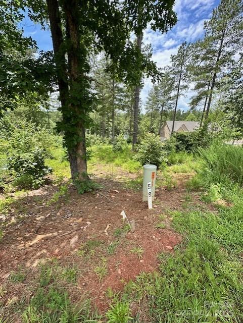 2120 Princeton Mountain Unit: 59