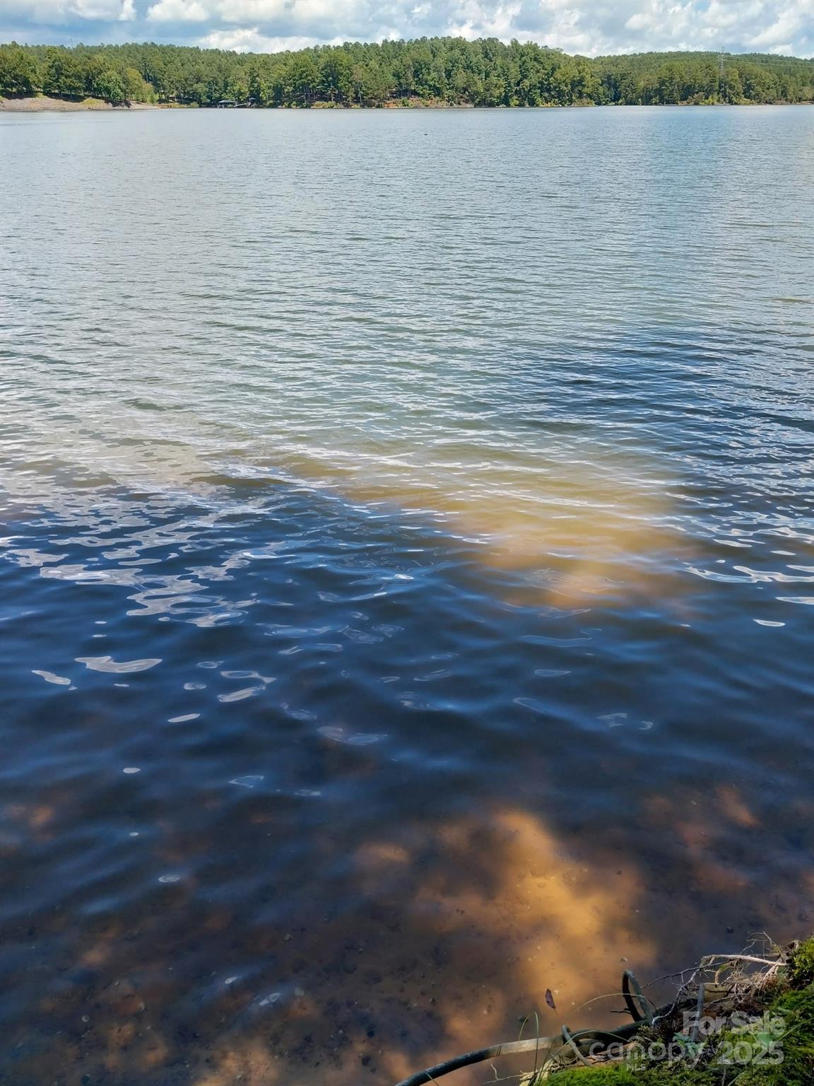 4083 Grays Peak Summit Unit: 169